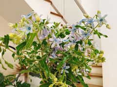 -森野花艺培训·企业团建活动沙龙