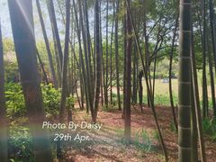 -南山风景名胜区