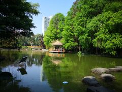 -四海公园(南山区)