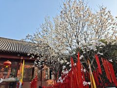 -长春观
