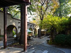 -静园(和平区)