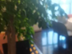 -眉州东坡(北苑华贸店)