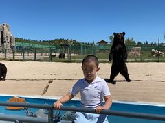 -鄂尔多斯野生动物园