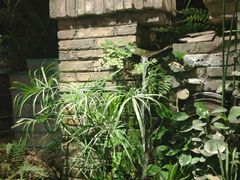 -老友王·南宁特色菜(金汇如意坊店)