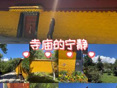 -罗布林卡