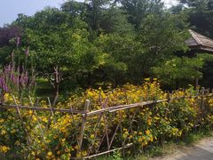 -东升八家郊野公园