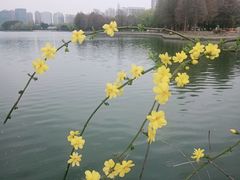 -石湖景区