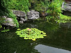 -黎阳老街