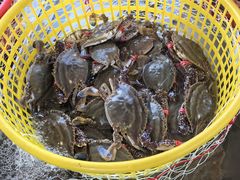 -南戴河海滨市场