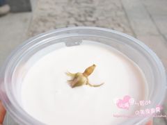 -狐狸家·酸奶酪专门店(平江路店)