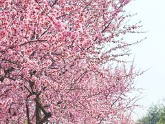 -白塘生态植物园
