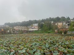 -和顺古镇