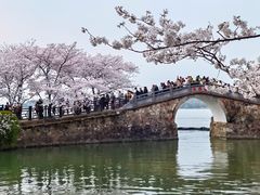 -颐和园