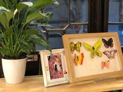 -猫的天空之城概念书店(杭州南宋御街店)