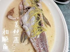 和顺鱼-花城苑广府菜(侨鑫店)