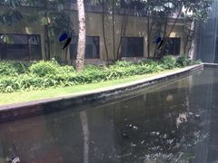 iphone_upload_pic-深圳东部华侨城茵特拉根酒店