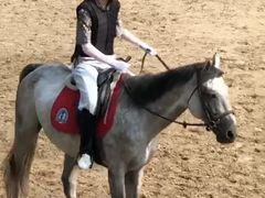 -大连凯洋马术俱乐部有限公司
