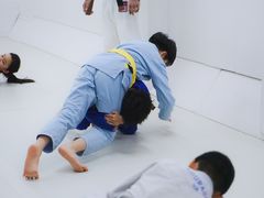 -菠萝格斗巴西柔术训练馆