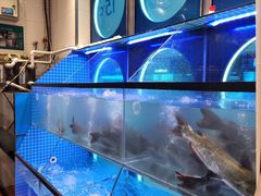 -鱼酷活鱼烤鱼(恒隆广场店)