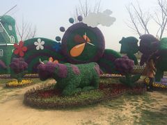 -荷兰花海