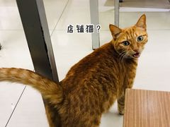-玉华饮食店(茅台路店)