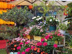 -山水茶艺馆·点心粤菜·30年老字号