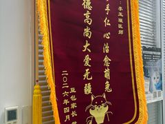 -美美宠物诊疗中心·异宠·骨科(滨江东信分院)