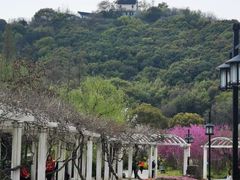 -苏州上方山国家森林公园