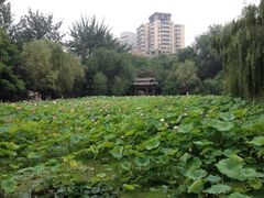 iphone_upload_pic-莲湖公园