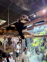 -Zoolung Zoolung动物主题公园(海信广场店)