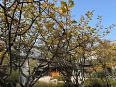 -江宁织造博物馆