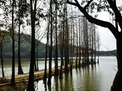 -西樵山风景名胜区-天湖公园
