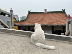-宝通禅寺