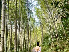 -千泷沟大瀑布旅游区