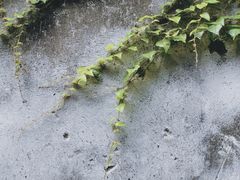 -书隐楼