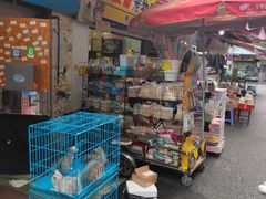 -清平路水族市场