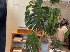 -一尺花园(安和花园店)