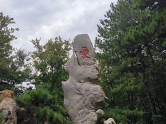 -东湖落雁景区