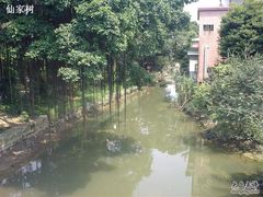 -小洲村