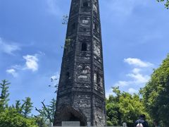 -上海佘山国家森林公园天马山园