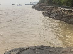 -平湖九龙山旅游度假区