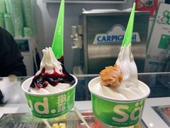 -Salud撒露欧洲冻酸奶(蓝色港湾店)