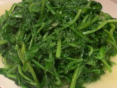 酒香豆苗-漢舍中国菜馆(889广场店)