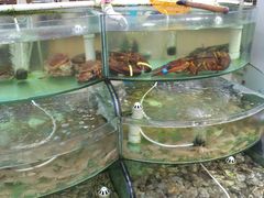 -东戴河风景区-止锚湾