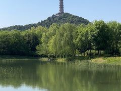 -北坞公园