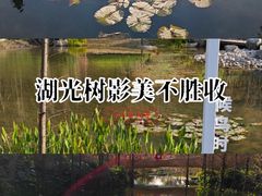 -云溪植物园