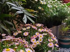 -泰澜得泰国菜(大学城店)