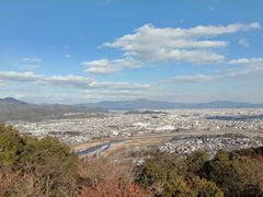 -岚山猴子公园