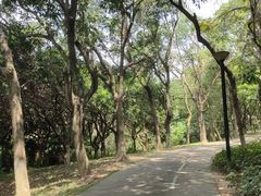 -燕晗山郊野公园