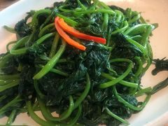 -石头咕(葵蓬店)